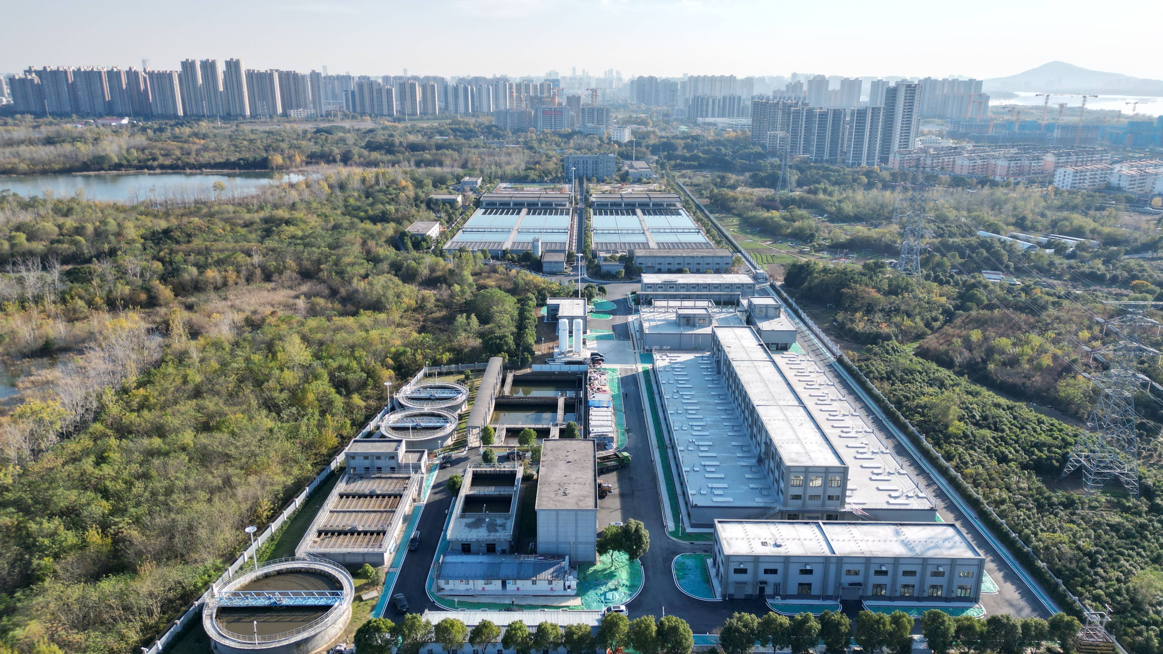 梧州市合肥专业企业价值增长(合肥市重点企业产业目录)