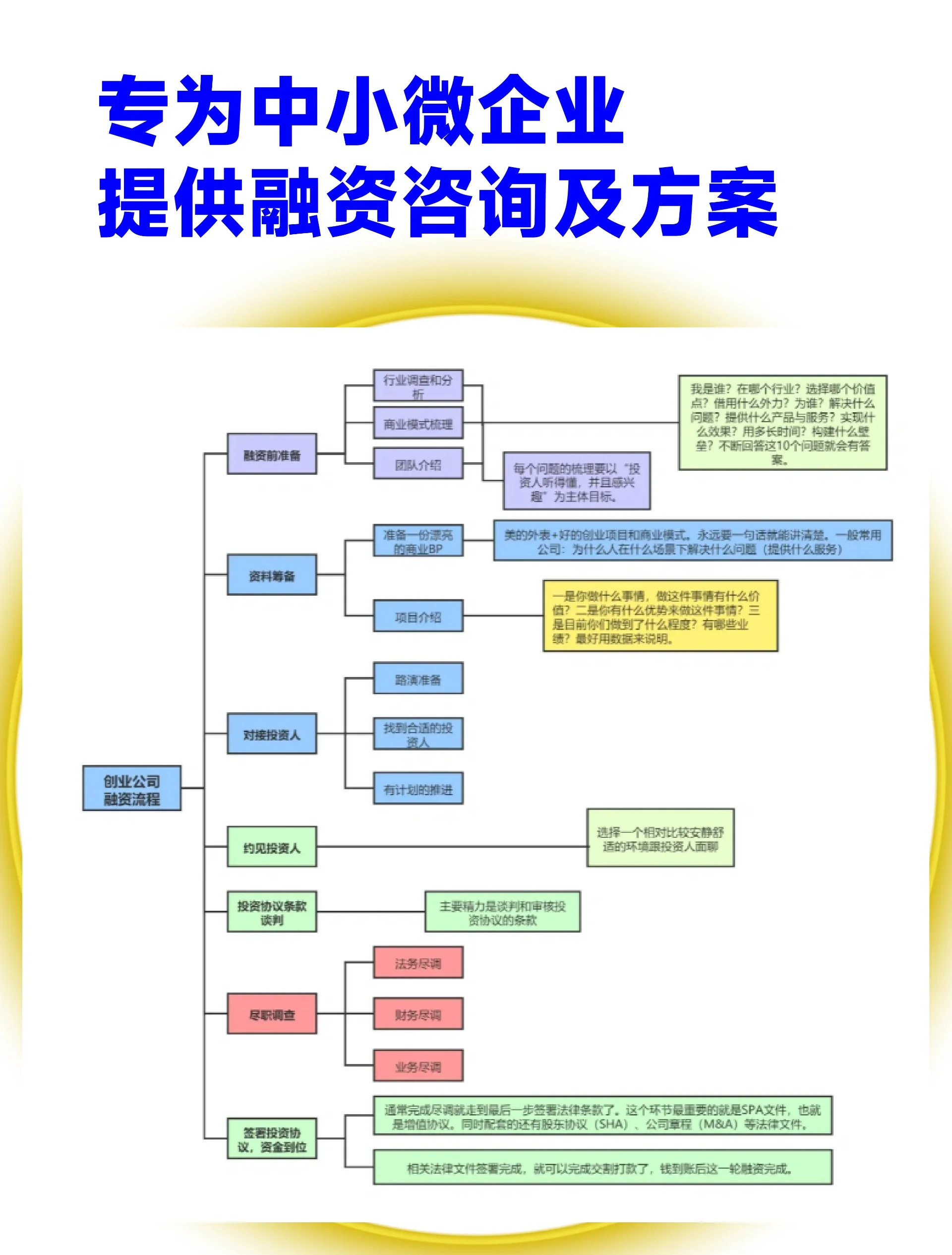 梧州市宠物企业资金管理(宠物管理机构叫什么)